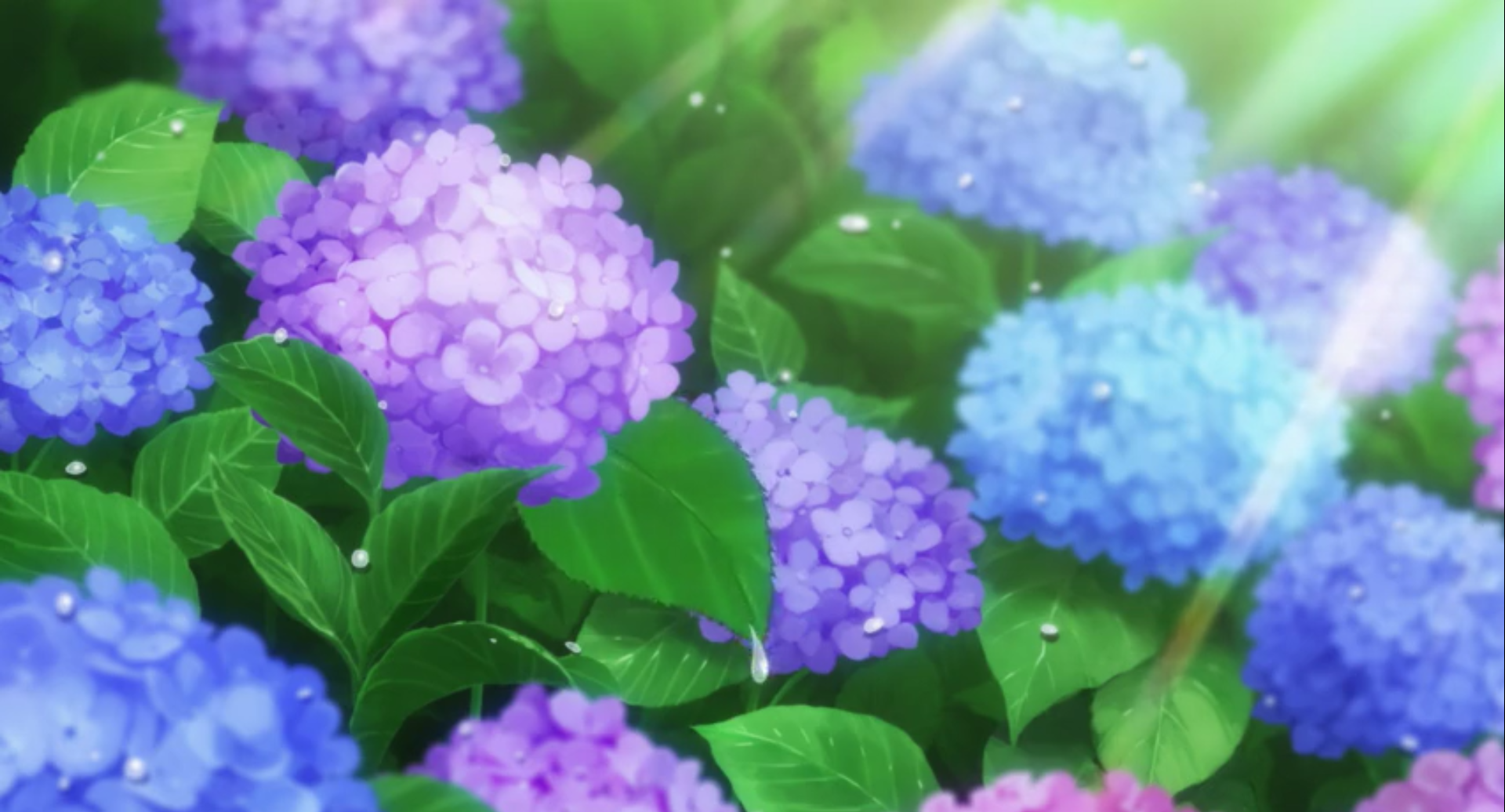 2021-07-05 (8).png